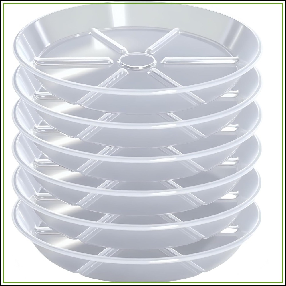 Drip Tray Saucer - Conjunto com 6 Pratos Transparentes para