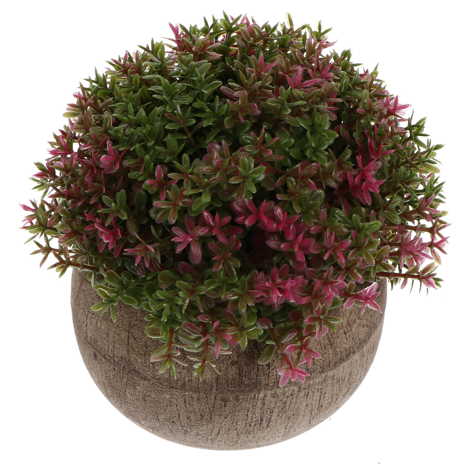 Bonsai Garden Cafe - Mini Bonsai de Plástico Realista, Planta