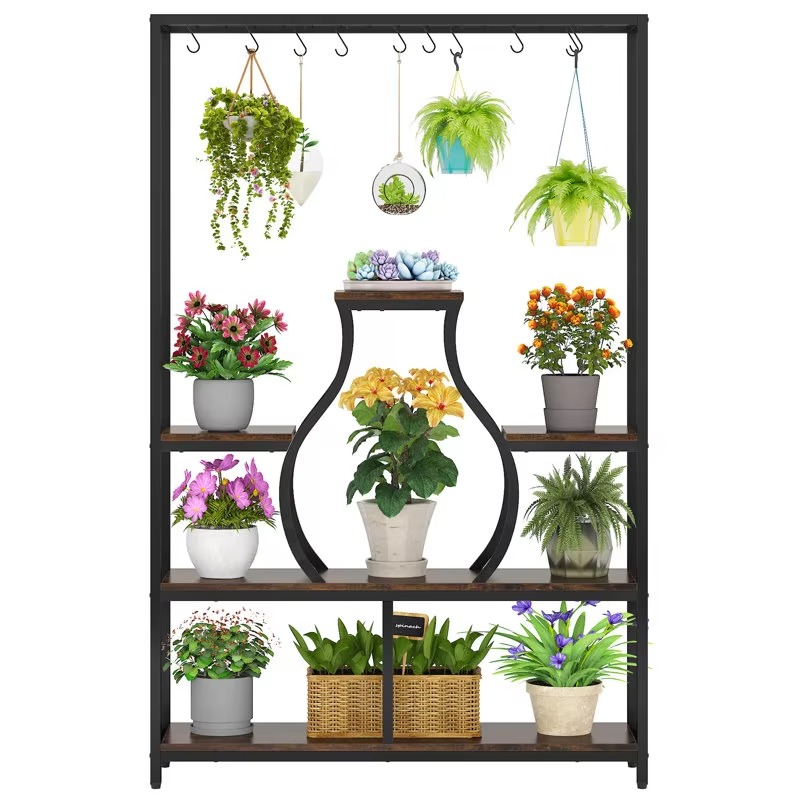 Suporte Decorativo de Parede p - Bonsai Garden Display avaliação e preço