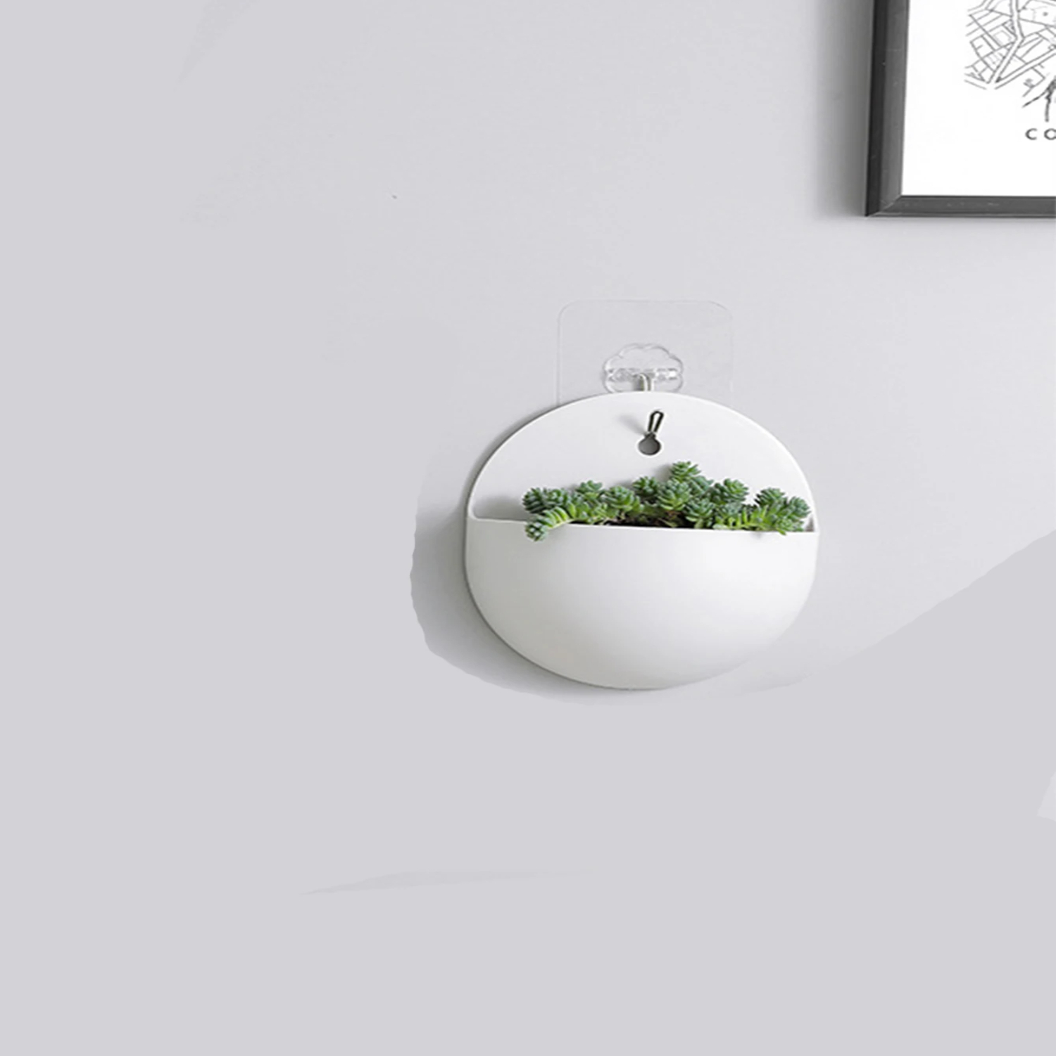 Pendurado na parede bonsai pla - Bonsai Garden China avaliação e preço