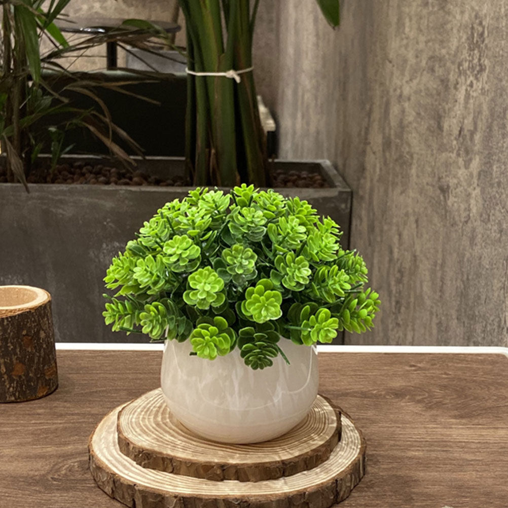 Bonsai Artificial Realista, Pl - Bonsai Garden Cafe avaliação e preço