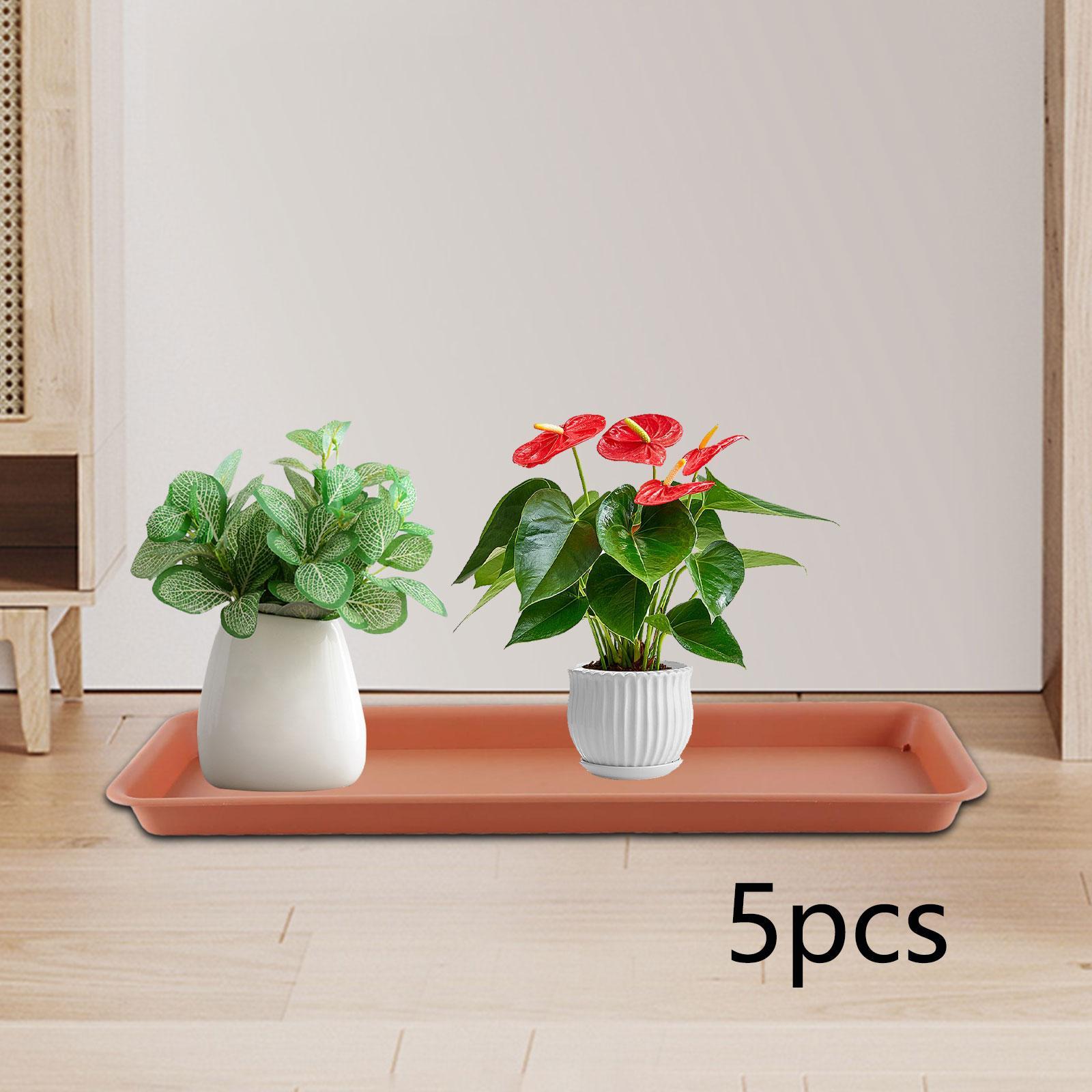 Vaso Alto para Terraço, Bandej - Drip Tray Saucer avaliação e preço