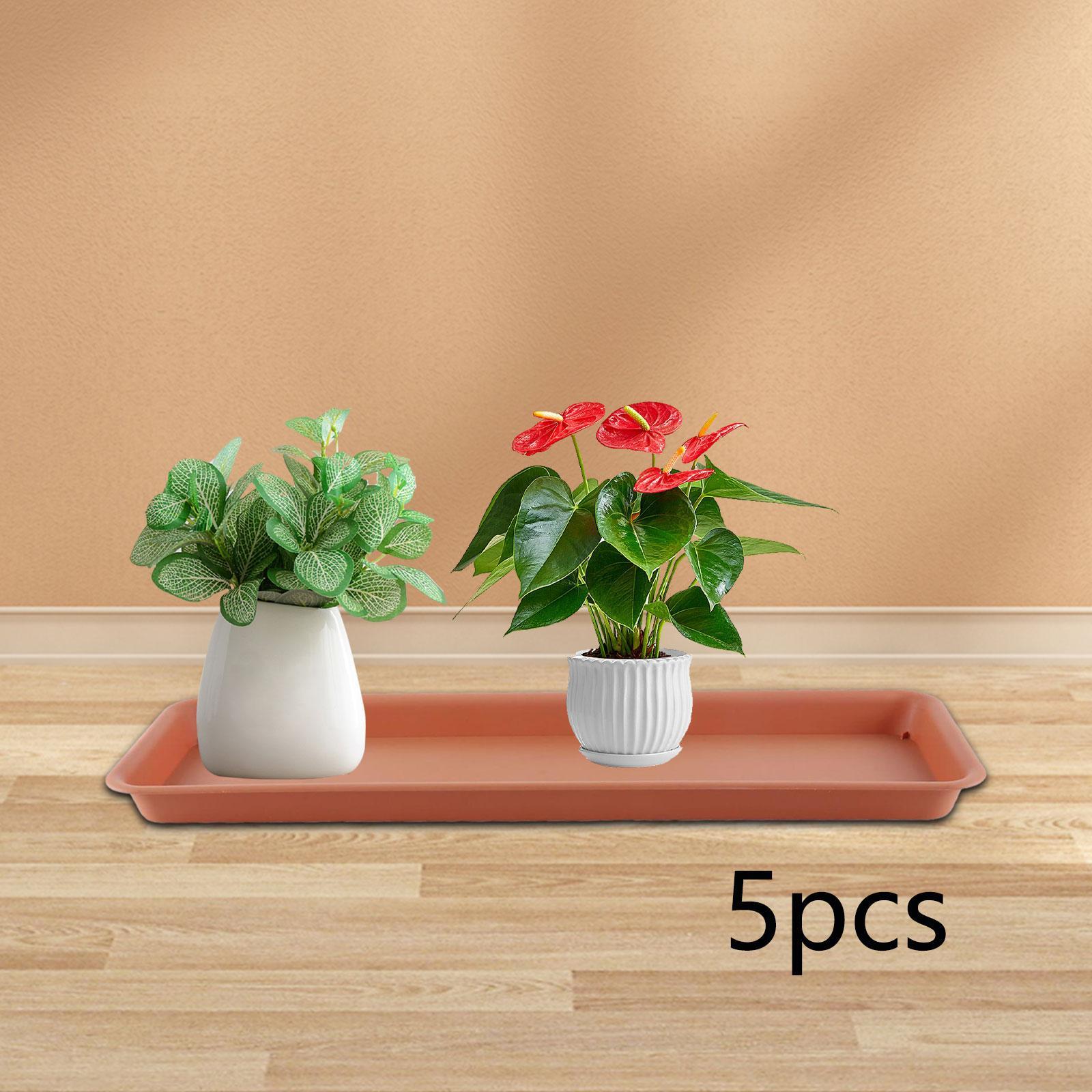 Vaso Alto para Terraço, Bandej - Drip Tray Saucer avaliação e preço