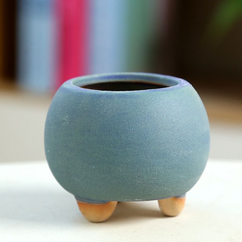 Mini vaso de flores carnudo de - Training Pot Ceramic avaliação e preço