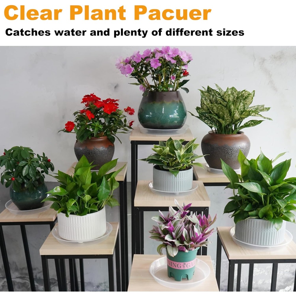 Pacote com 20 Pratos para Plan - Drip Tray Saucer avaliação e preço