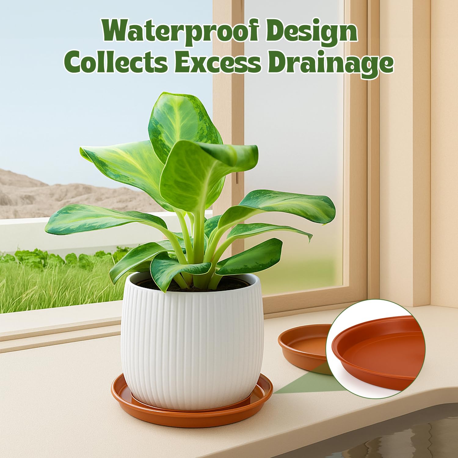 12 pires para vasos de plantas - Drip Tray Saucer avaliação e preço