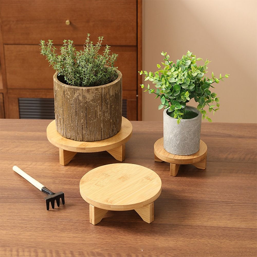 Suporte de exibição de bonsai  - Bonsai Garden Display avaliação e preço