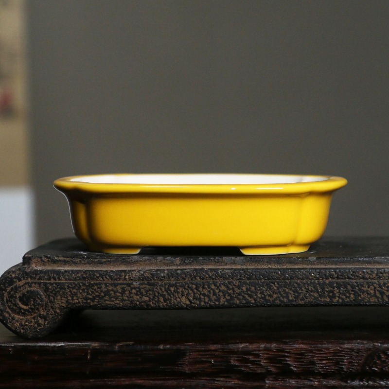 Vaso de Bonsai Retangular de P - Bonsai Garden China avaliação e preço