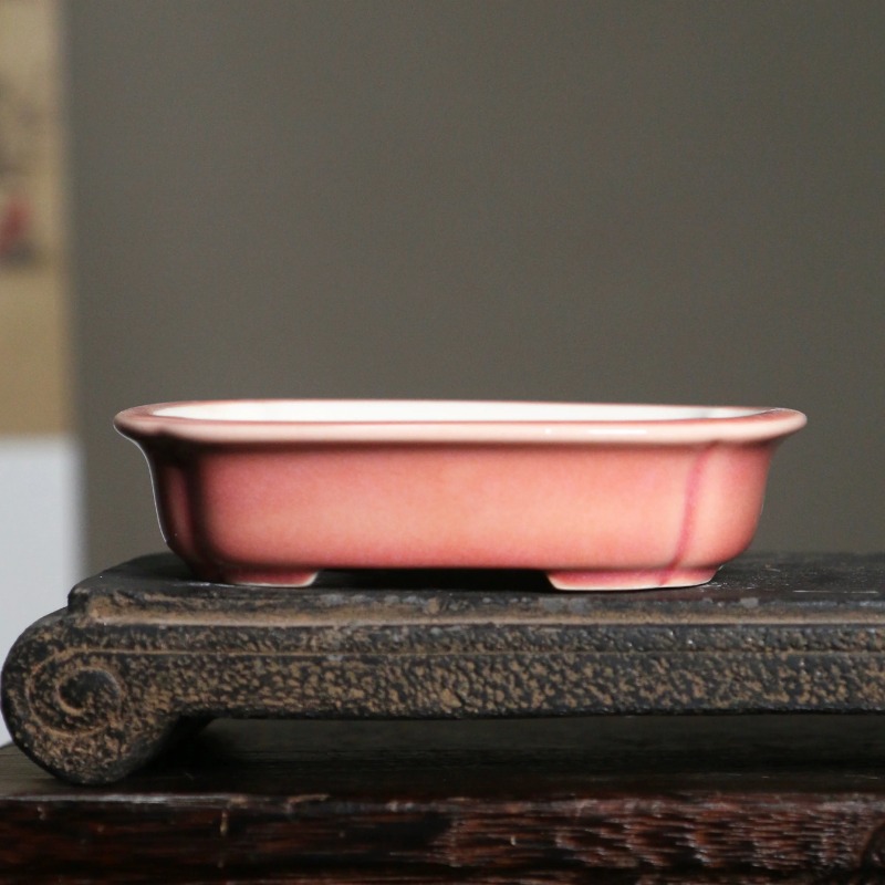 Vaso de Bonsai Retangular de P - Bonsai Garden China avaliação e preço