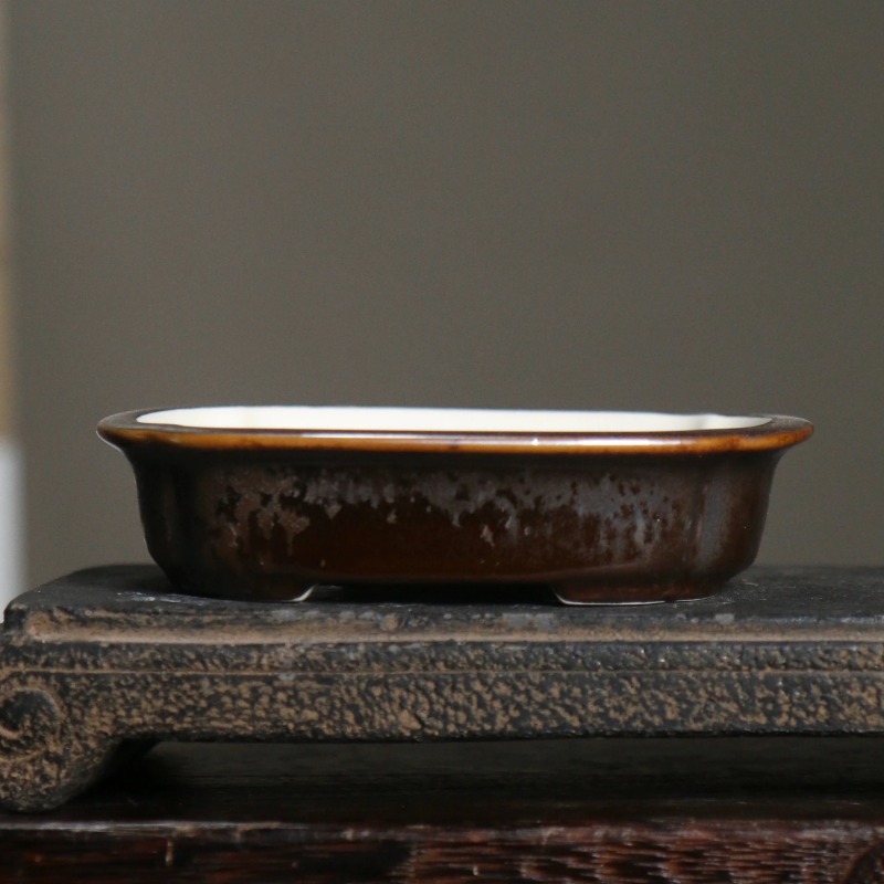 Vaso de Bonsai Retangular de P - Bonsai Garden China avaliação e preço