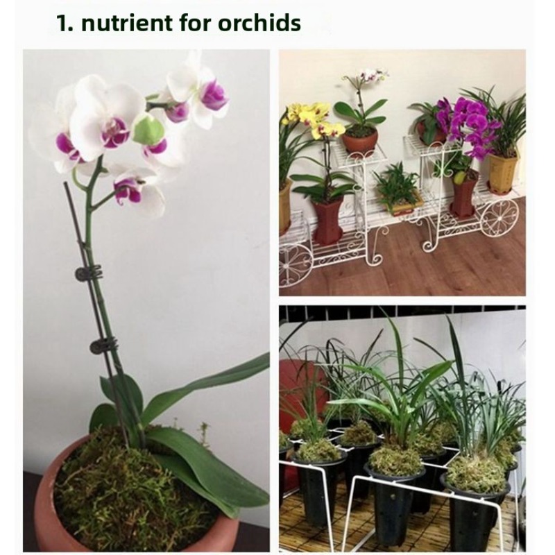 Musgo Sphagnum Seco para Orquí - Sphagnum Moss Bag avaliação e preço