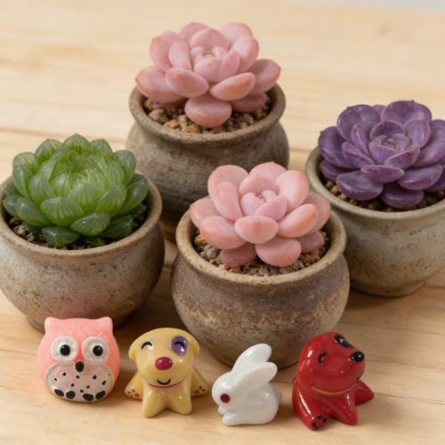 Kit de Ornamentos em Miniatura - Bonsai Garden In Japan avaliação e preço