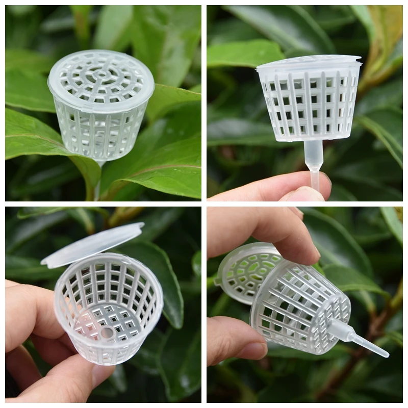 Cesta de fertilizante com tamp - Bonsai Garden Of Ct avaliação e preço