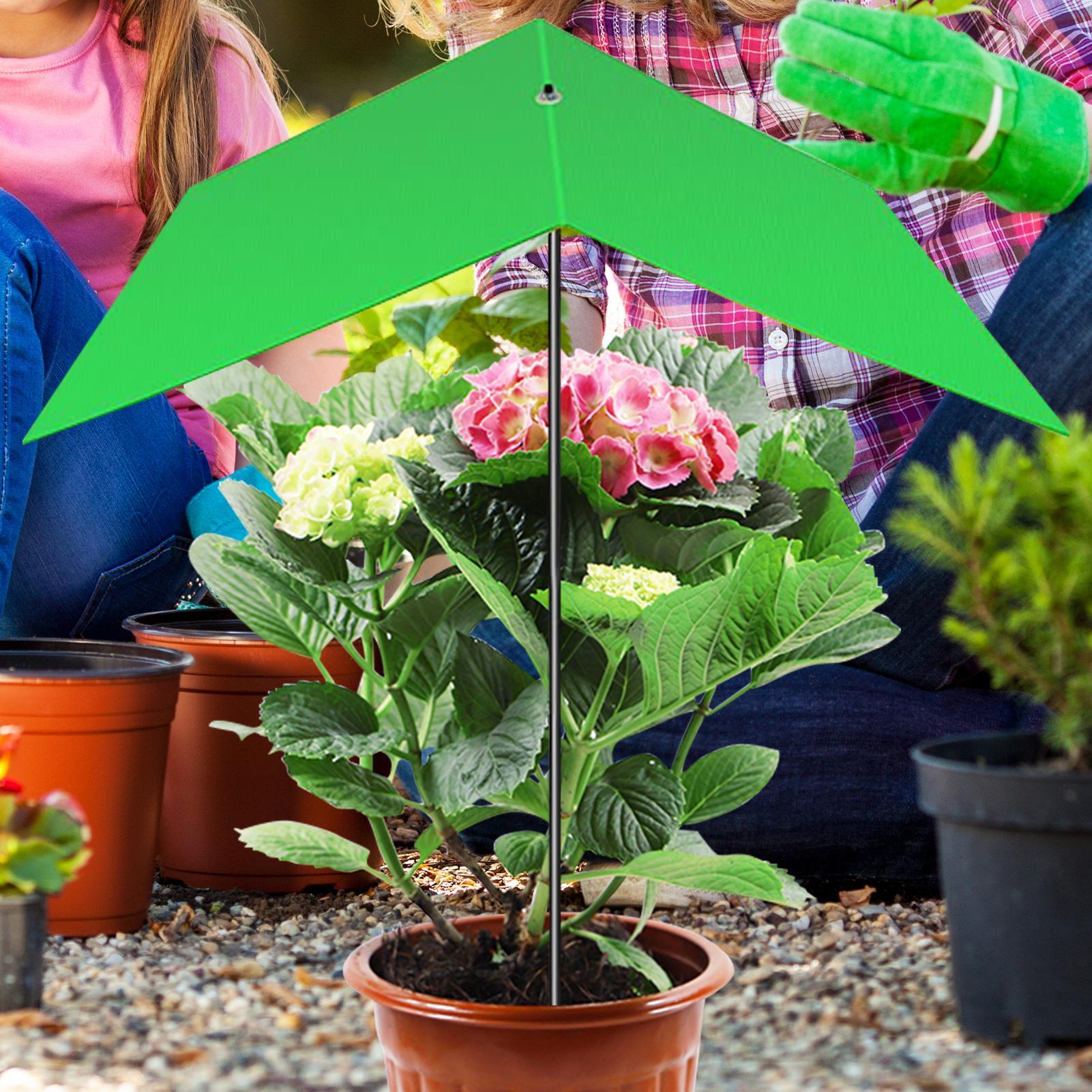Guarda-chuva para plantas, ant - Bonsai Garden Cafe avaliação e preço