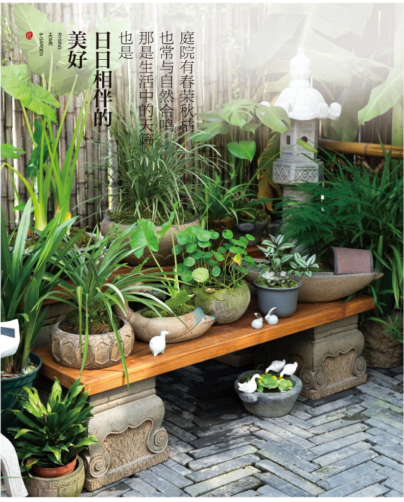 Layout de jardim de terraço, r - Bonsai Garden Layout avaliação e preço