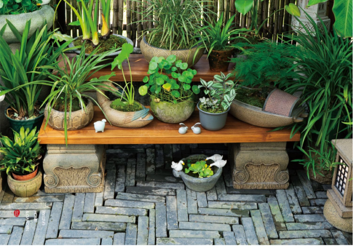 Layout de jardim de terraço, r - Bonsai Garden Layout avaliação e preço