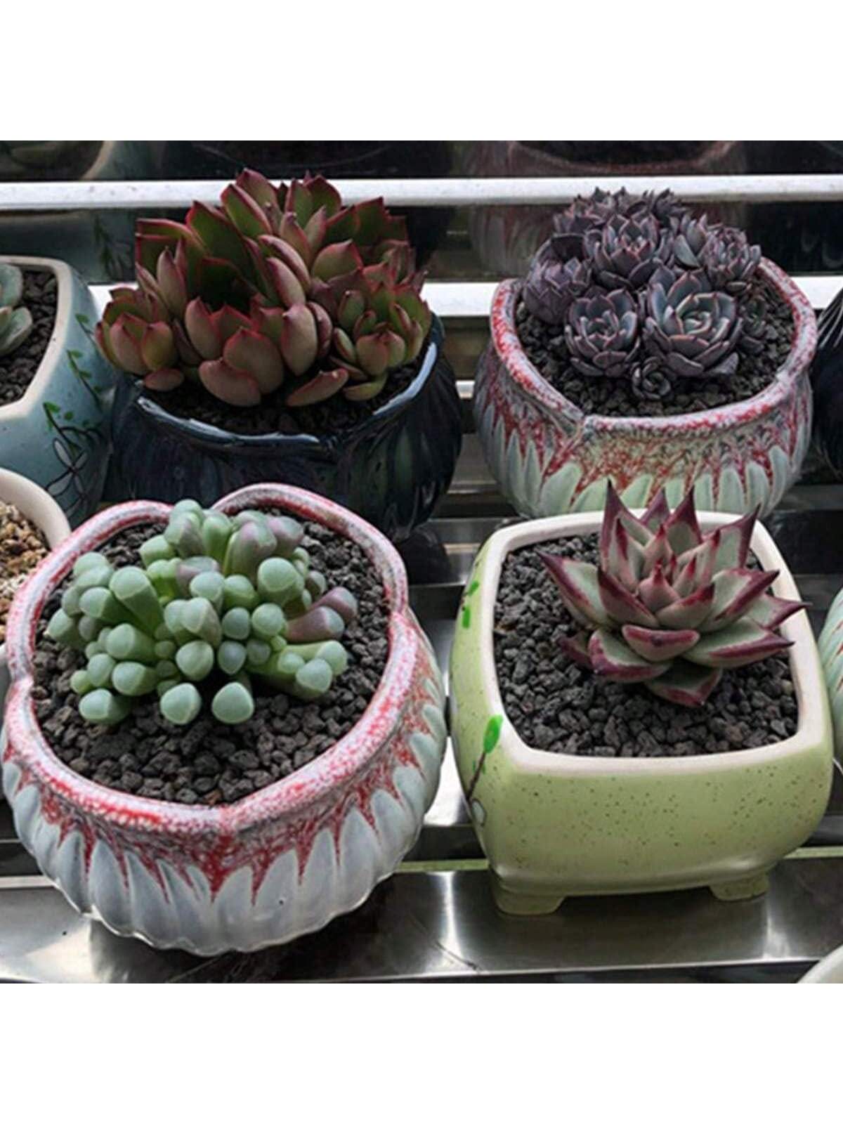 Aditivo de solo de rocha de la - Sphagnum Moss Bag avaliação e preço
