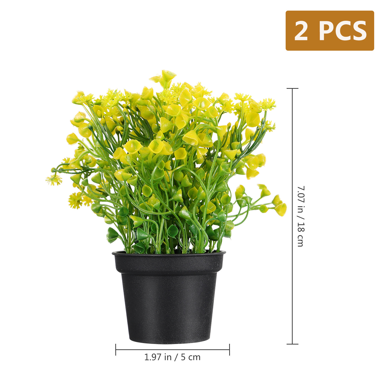 2 Peças de Bonsai de Grama Sin - Bonsai Garden Cafe avaliação e preço