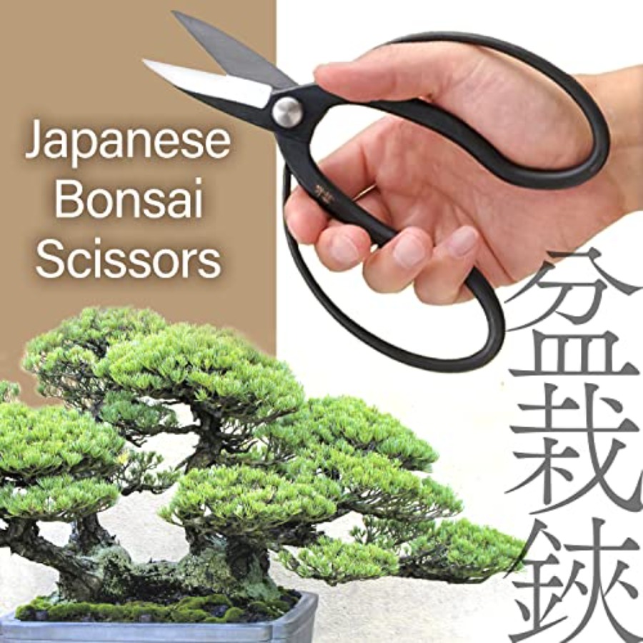 Tesoura Japonesa Suiryu para B - Bonsai Garden In Japan avaliação e preço