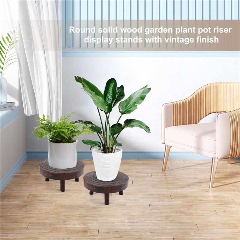 ABHU 2 Peças Mini Suporte de M - Bonsai Garden Display avaliação e preço