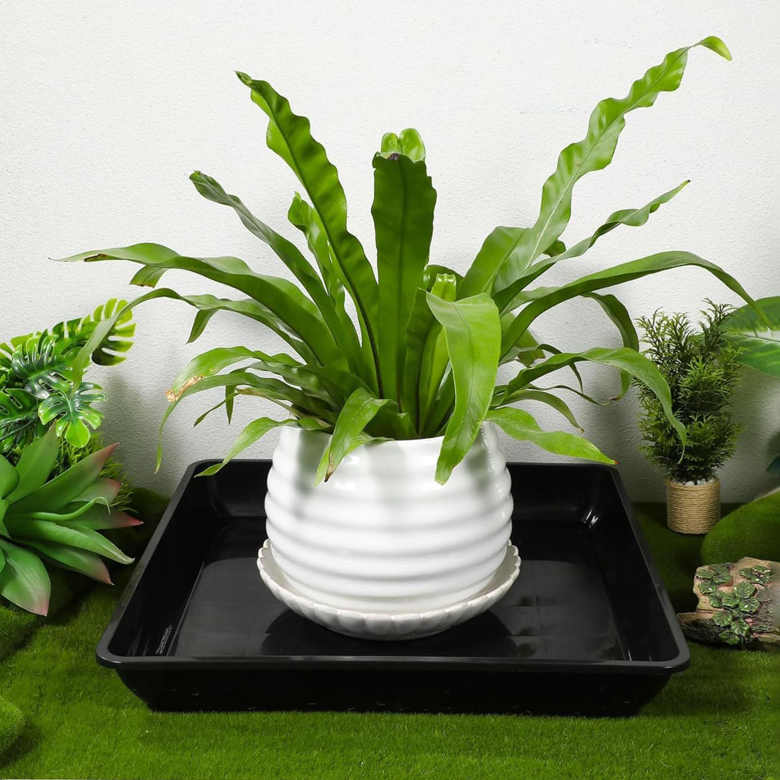 2 pçs vaso de flores base engr - Drip Tray Saucer avaliação e preço