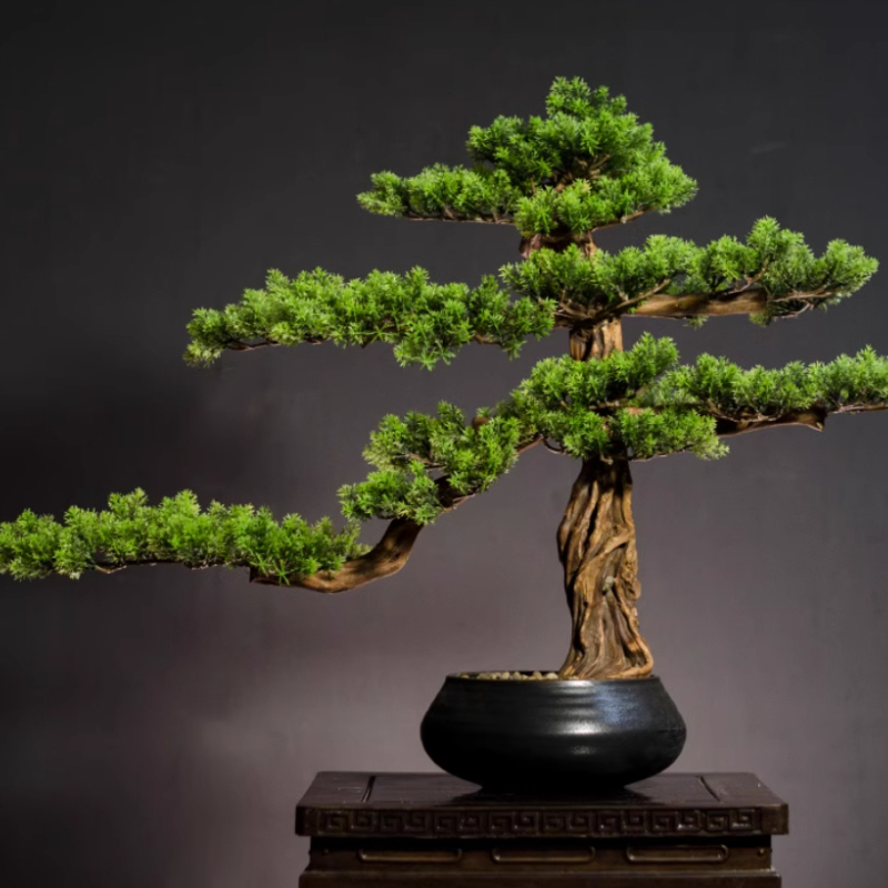 Casa bem-vinhando ornamentos d - Bonsai Garden Entrance avaliação e preço