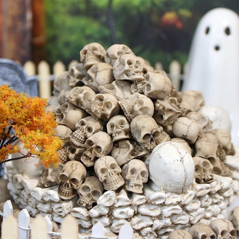 Figuras de Crânio Realistas em - Bonsai Garden Display avaliação e preço