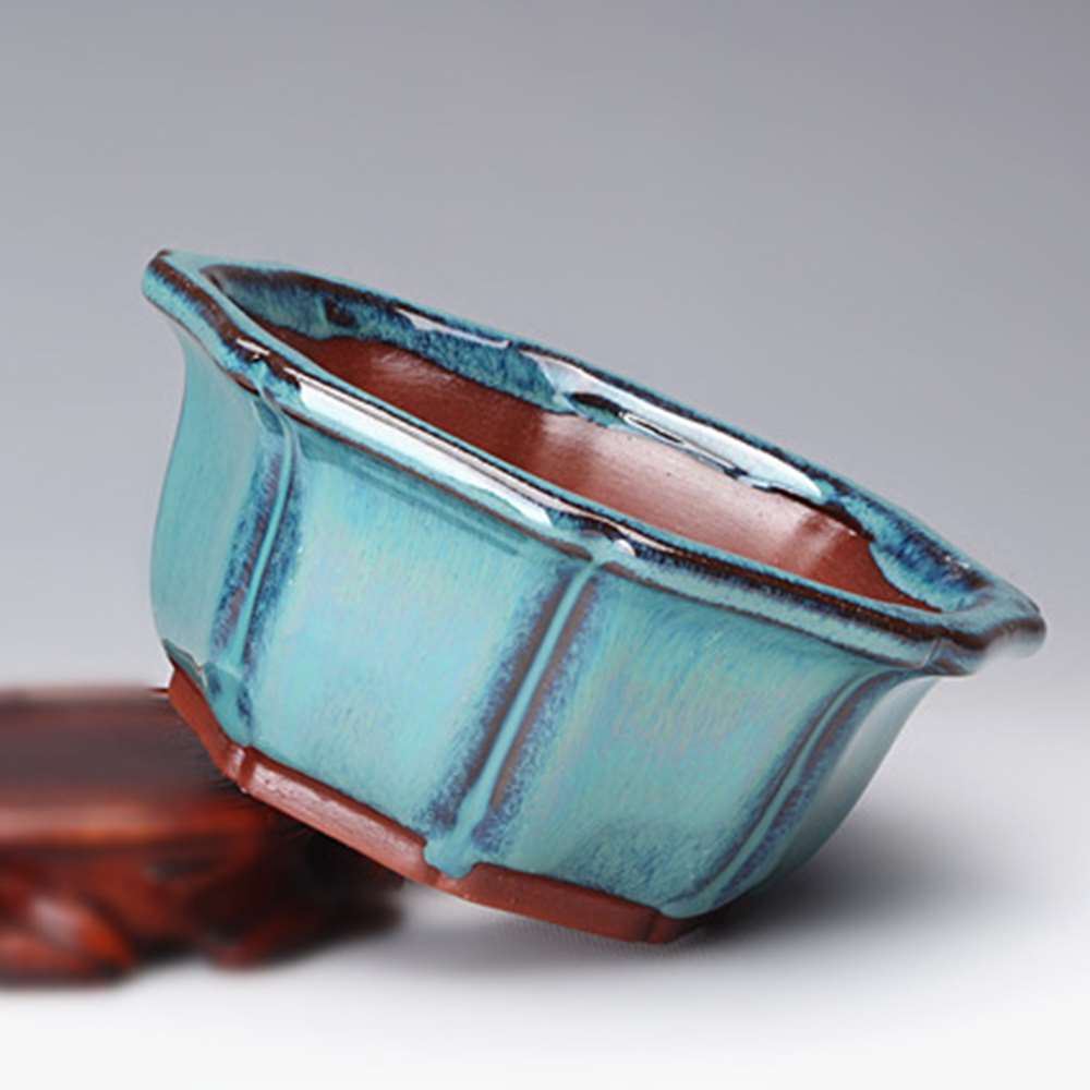 Vasos de bonsai estilo chinês, - Training Pot Ceramic avaliação e preço