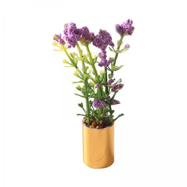 Miniatura de Planta em Vaso Or - Bonsai Garden Display avaliação e preço