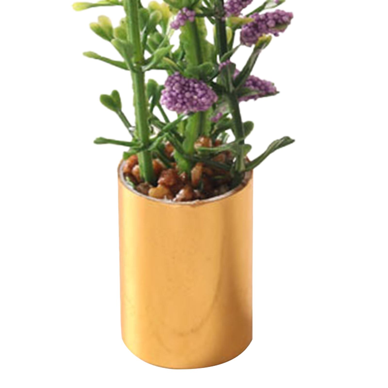Miniatura de Planta em Vaso Or - Bonsai Garden Display avaliação e preço