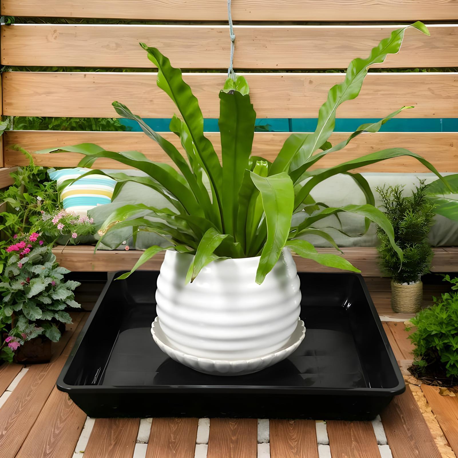 Bandejas para Vasos - 2 Peças  - Drip Tray Saucer avaliação e preço