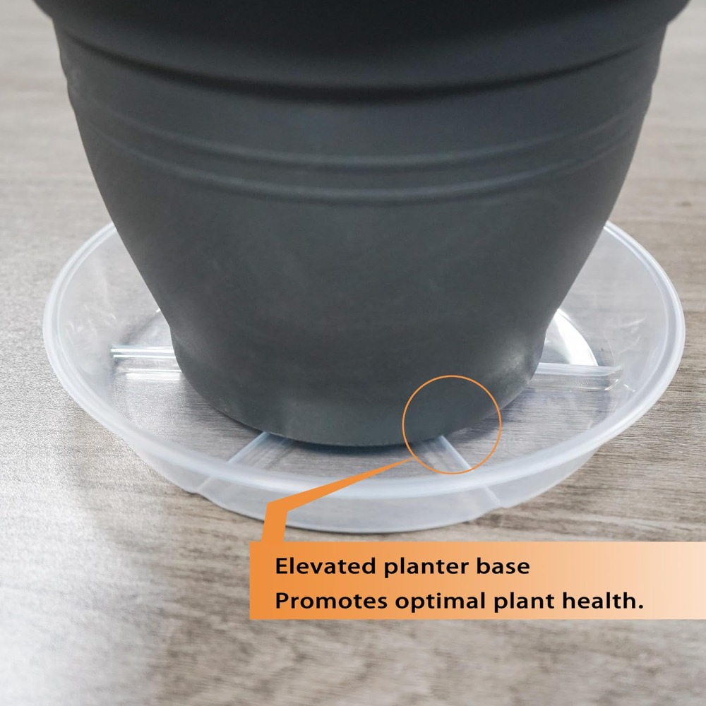 Conjunto com 6 Pratos Transpar - Drip Tray Saucer avaliação e preço