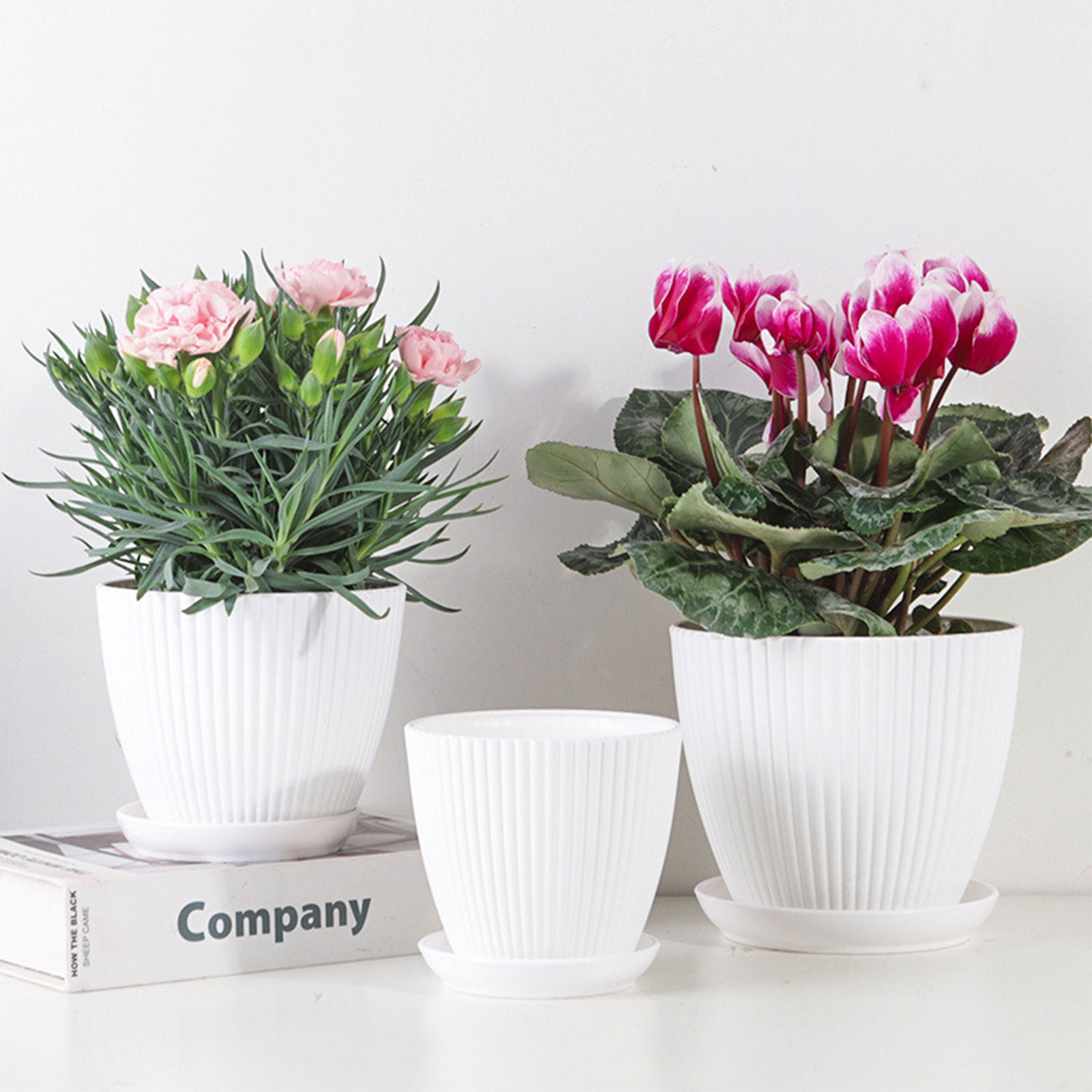Vaso de flores de plástico, va - Sphagnum Moss Bag avaliação e preço