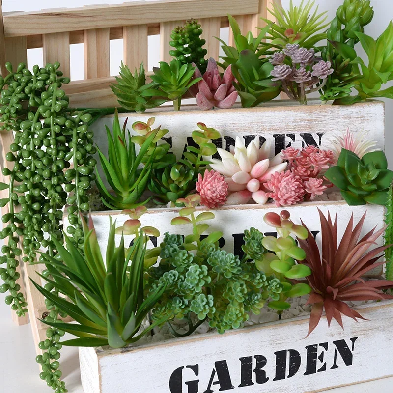 10/20 Peças de Plantas Suculen - Bonsai Garden For Home avaliação e preço