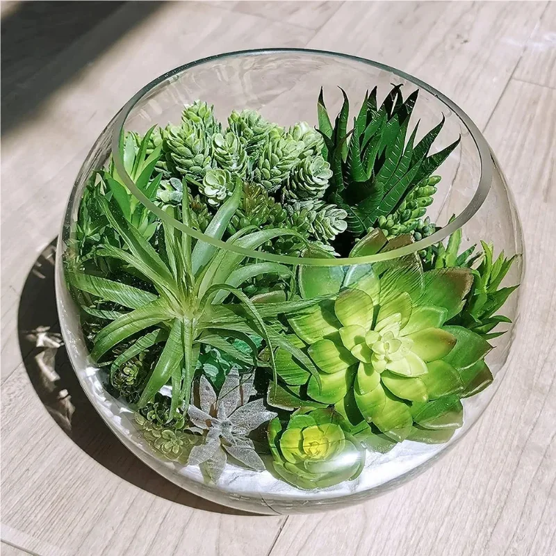 10/20 Peças de Plantas Suculen - Bonsai Garden For Home avaliação e preço