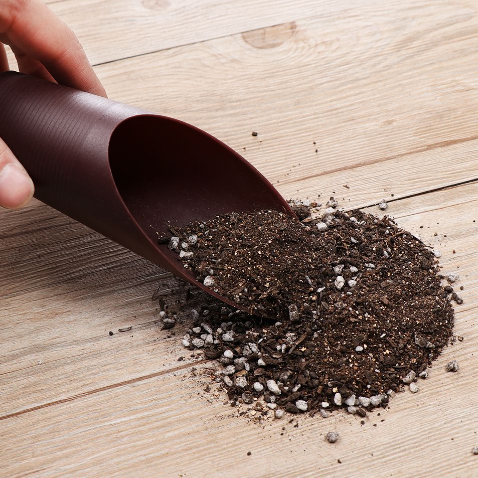 1pc plástico solo pá copo para - Bonsai Garden For Home avaliação e preço
